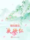医生【快穿】